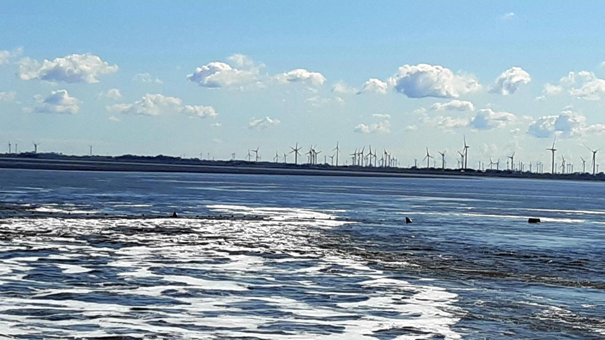 Ferienwohnungen-Im-Koog Wesselburenerkoog Exteriör bild